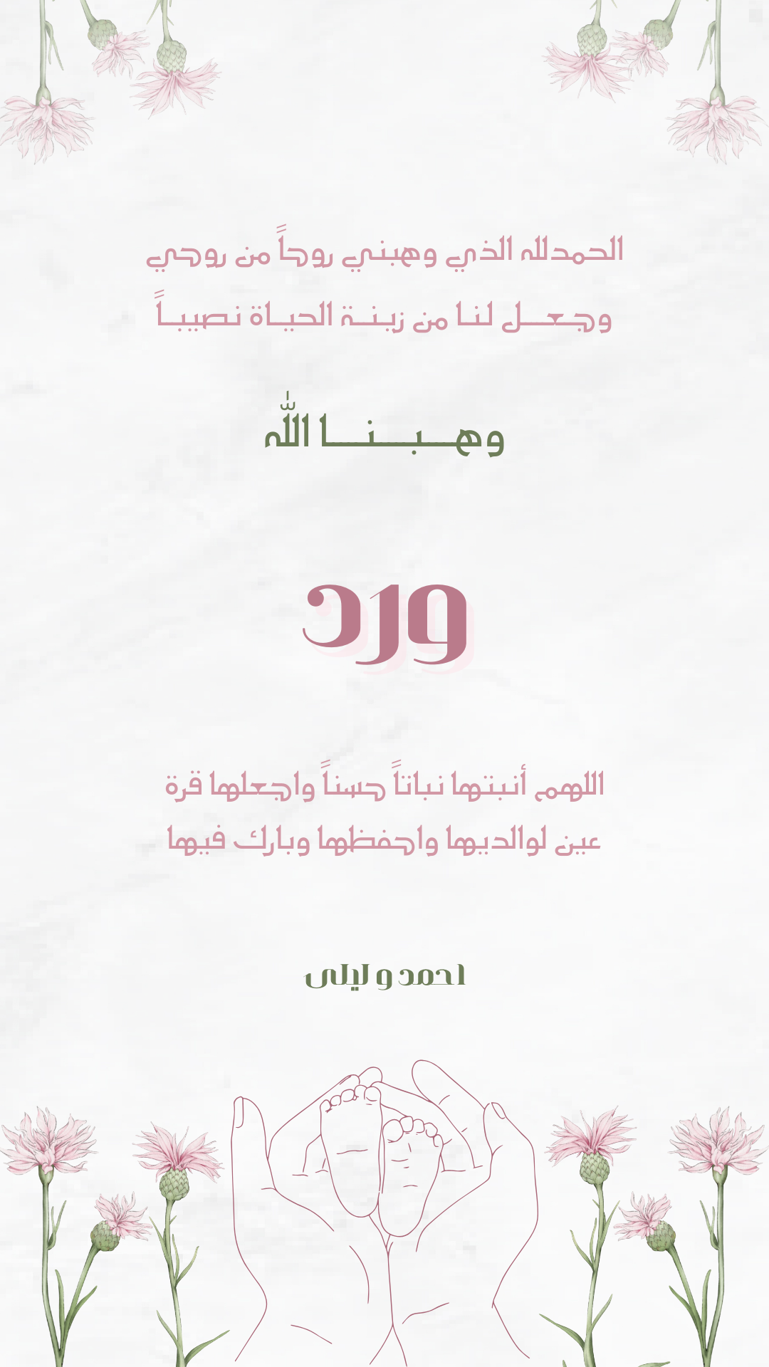 بشارة مواليد 